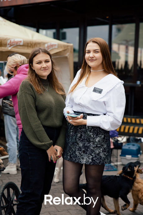 Благотворительная акция пушистого добра, фото № 4