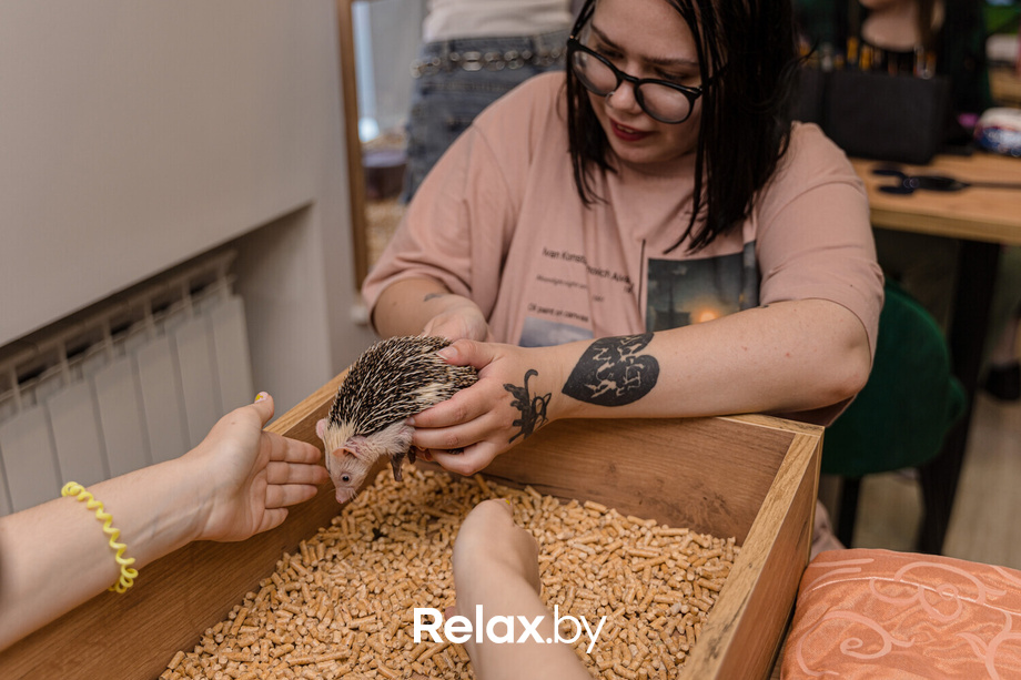 Открытие антикафе «Ёж кафе», фото № 55