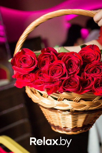 Live PROJECTor, фото № 47