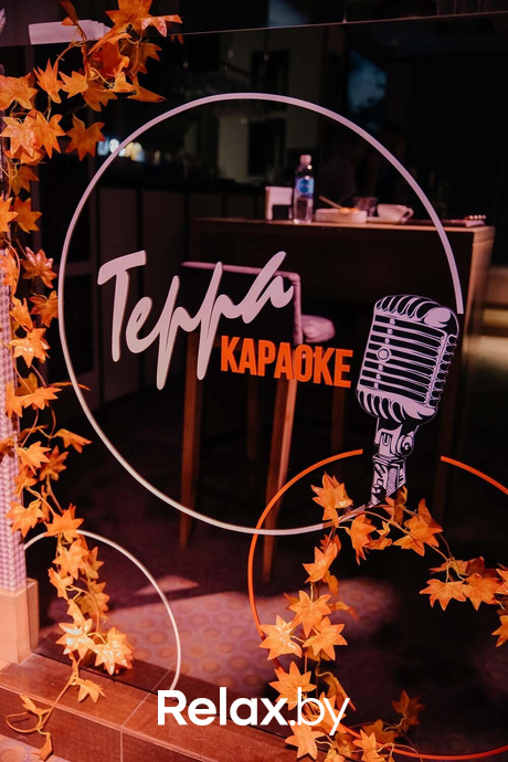 Terra Karaoke, фото № 46