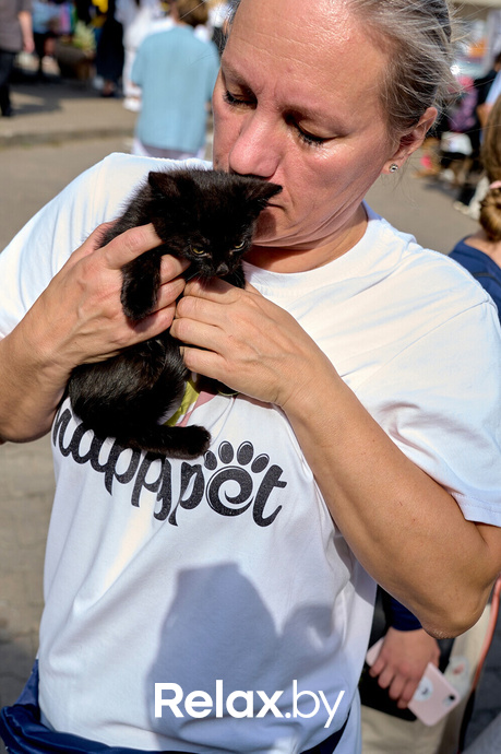 Акция пушистого добра, фото № 53