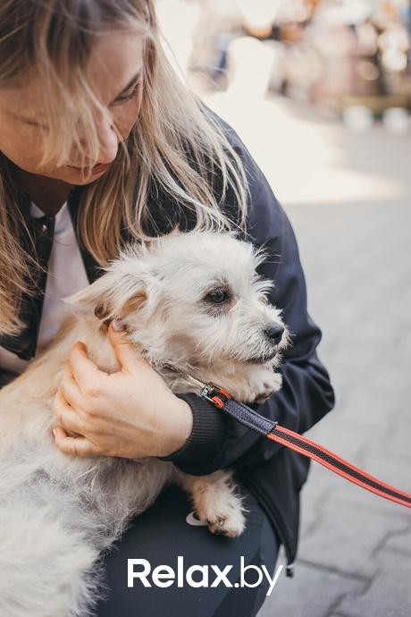 Акция Пушистого Добра, фото № 145