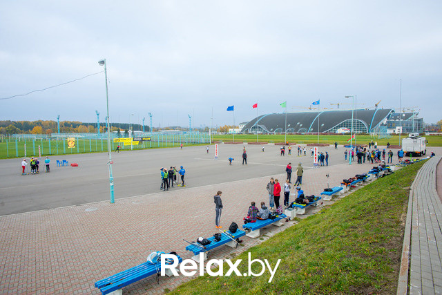 Золотая осень с Васильками, фото № 11