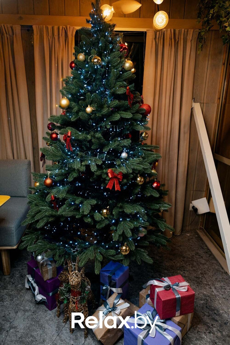 Ночные жители, фото № 40