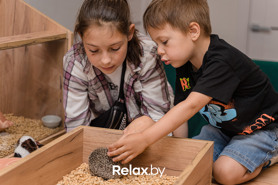 Открытие антикафе «Ёж кафе», фото № 51