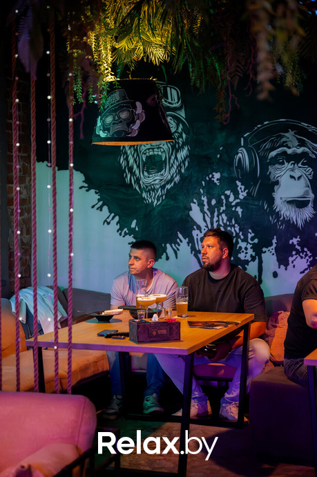 Monkey Brothers, фото № 20