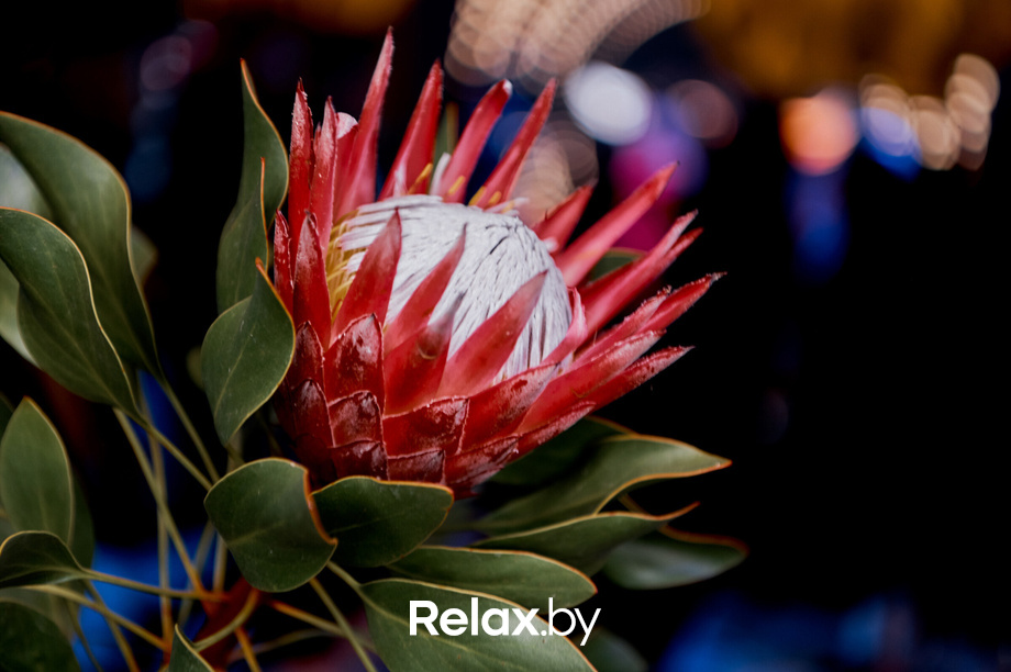 Friday Music, фото № 28