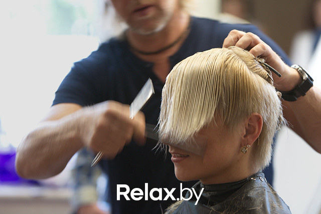 Семинар для парикмахеров "CHI Cut & Color Trends 2013", фото № 51