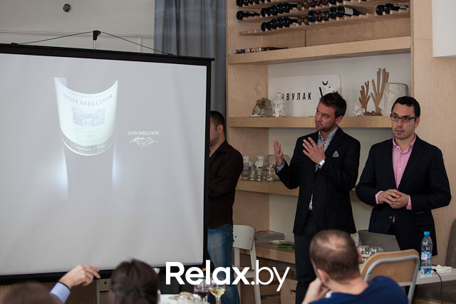 Дегустация чилийских вин, фото № 23