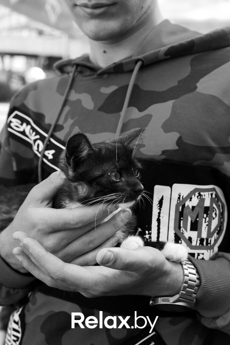 Акция Пушистого Добра, фото № 117