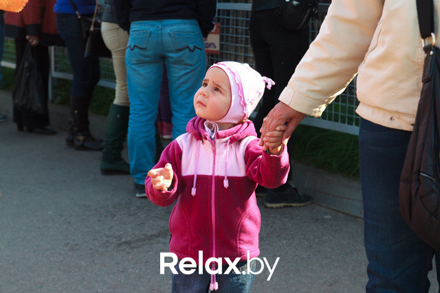 Акция ко Дню защиты животных, фото № 52