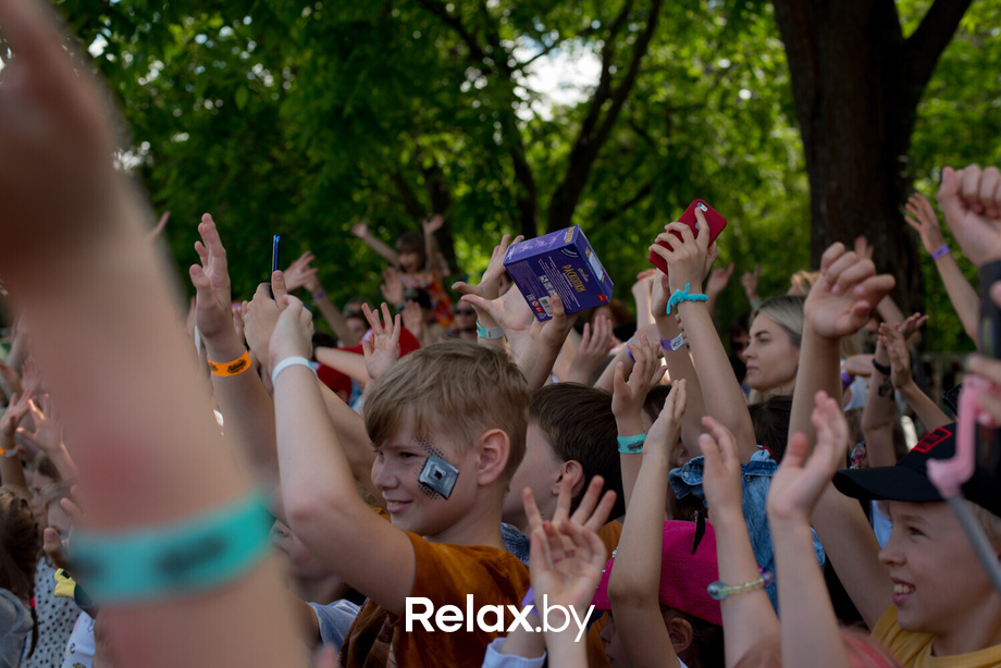 Букидс. Профессии, фото № 7