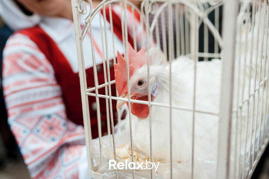 Церемония награждения Премии «Народная Марка», фото № 35