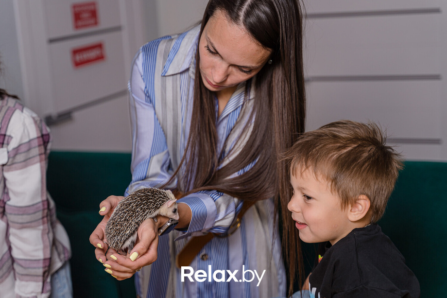 Открытие антикафе «Ёж кафе», фото № 3