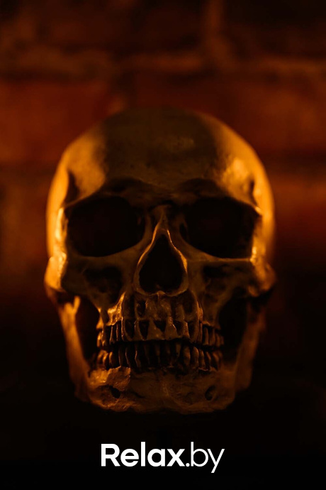 Live Music, фото № 8