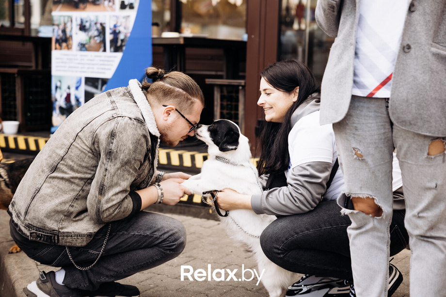 Акция Пушистого Добра, фото № 97