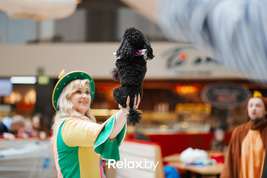 Благотворительный закрытый показ «Ловушка для привидения», фото № 32