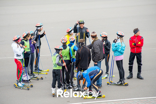 Золотая осень с Васильками, фото № 12