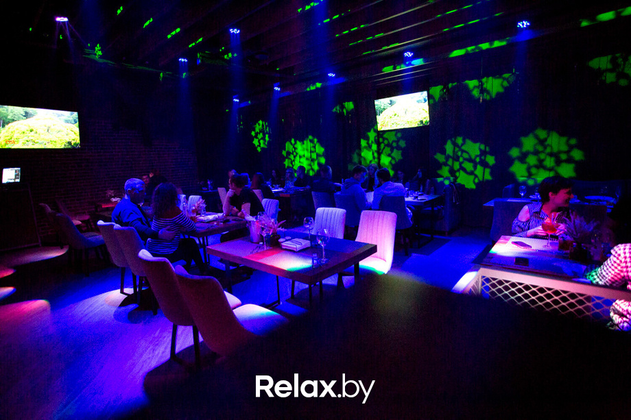 Ночь караоке, фото № 13