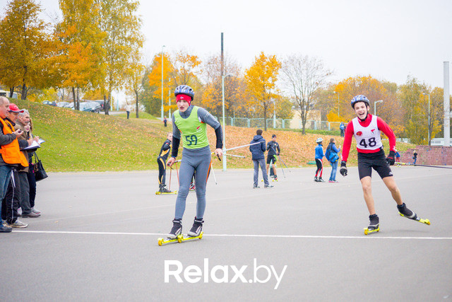 Золотая осень с Васильками, фото № 78