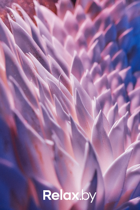 Saturday music, фото № 82