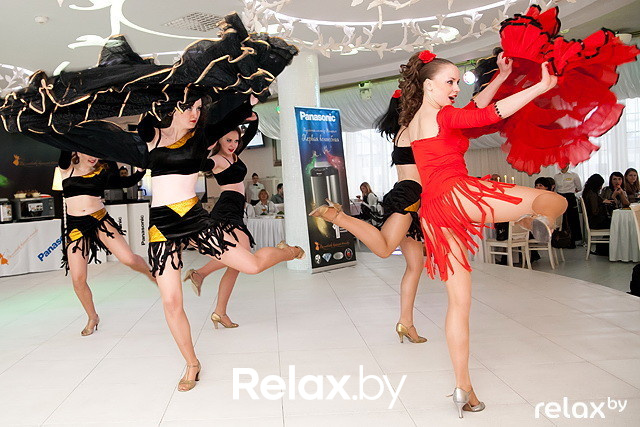 Презентация Panasonic, фото № 62