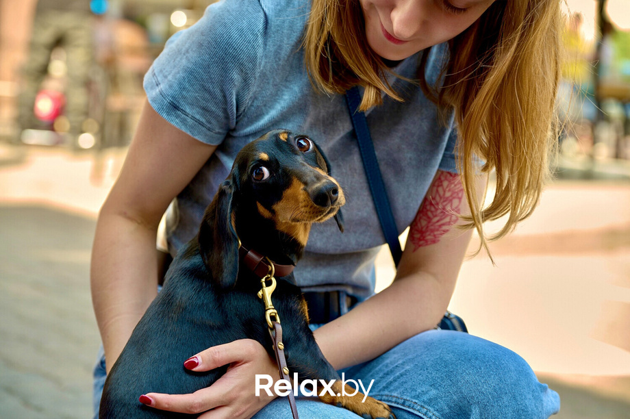 Акция пушистого добра, фото № 58