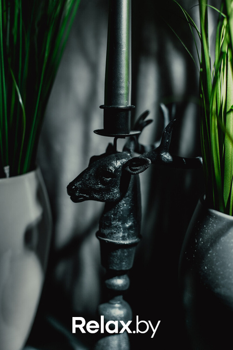 Ночь караоке, фото № 77