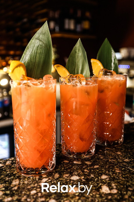 Терра караоке, фото № 37