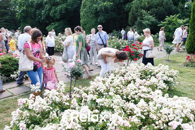 Фестиваль роз, фото № 10