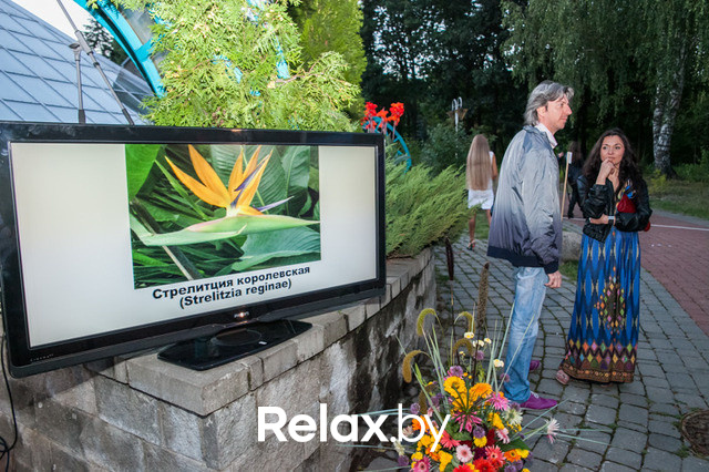 Благотворительный раут, фото № 100