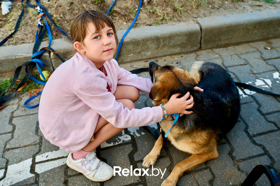 Акция пушистого добра, фото № 145