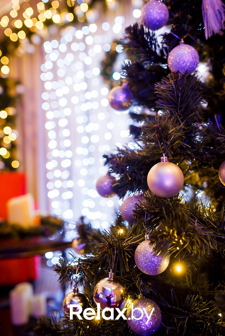 Новогодний борт «ROKAS», фото № 11