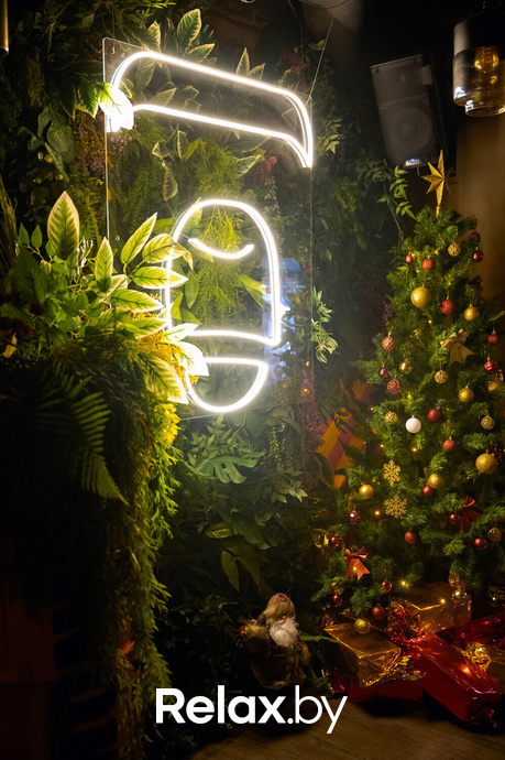 Monkey Brothers, фото № 94