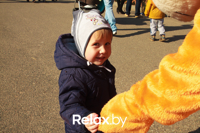 Акция ко Дню защиты животных, фото № 32