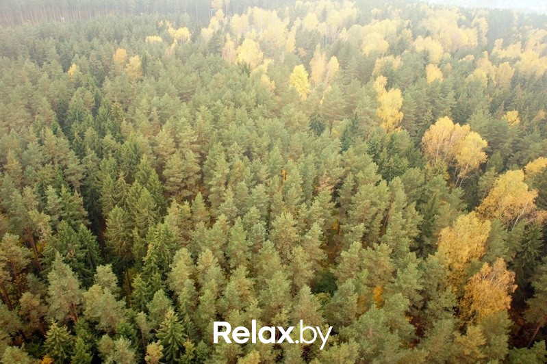 Воздушная прогулка relax.by, фото № 79