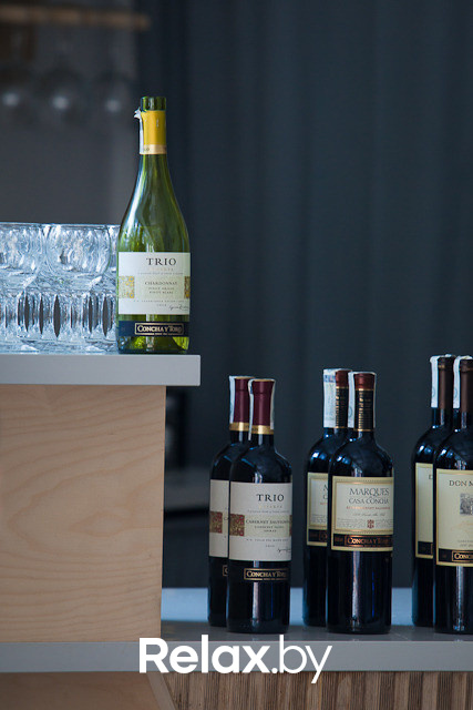 Дегустация чилийских вин, фото № 54