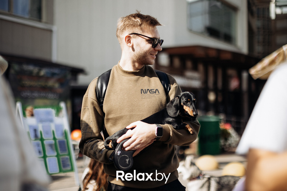 Акция Пушистого Добра, фото № 33