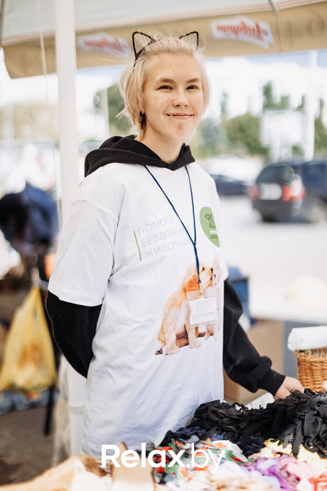 Акция Пушистого Добра, фото № 26