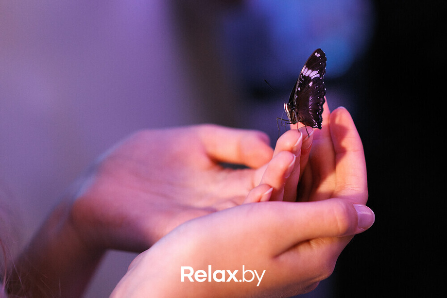 Открытие магазина одежды UNEED, фото № 139