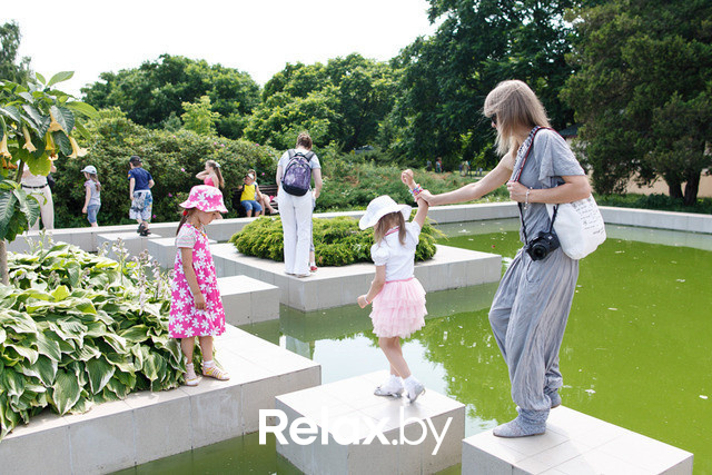 Фестиваль роз, фото № 37