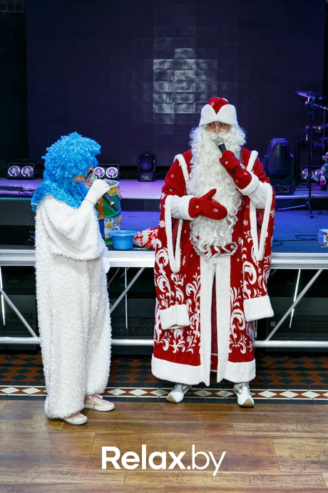 Новогодние приключения, фото № 15