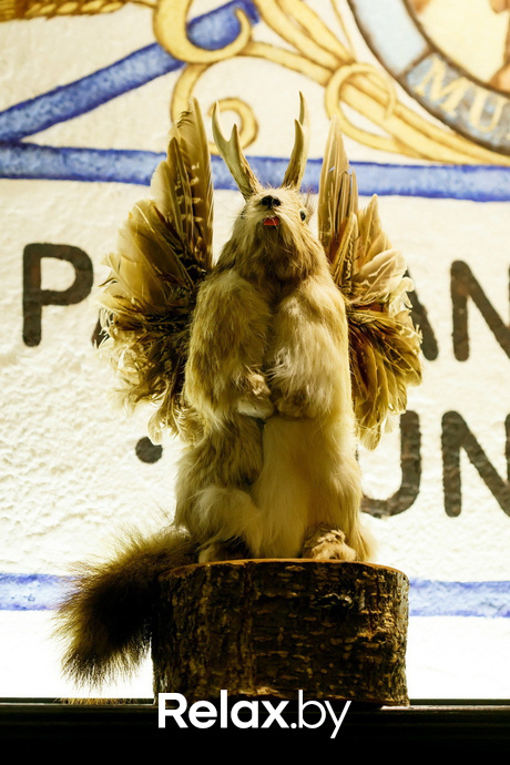 Октоберфест, фото № 129