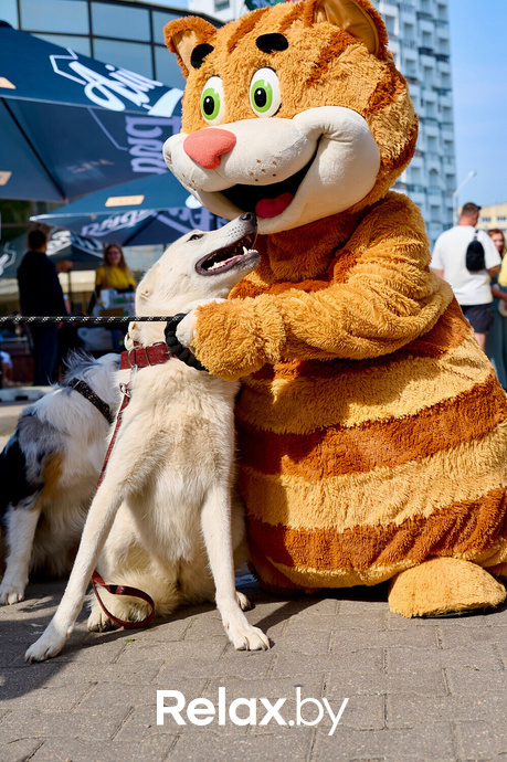 Акция пушистого добра, фото № 85