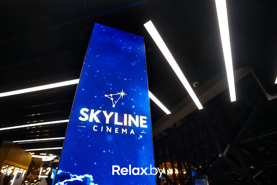 Открытие Skyline, фото № 11