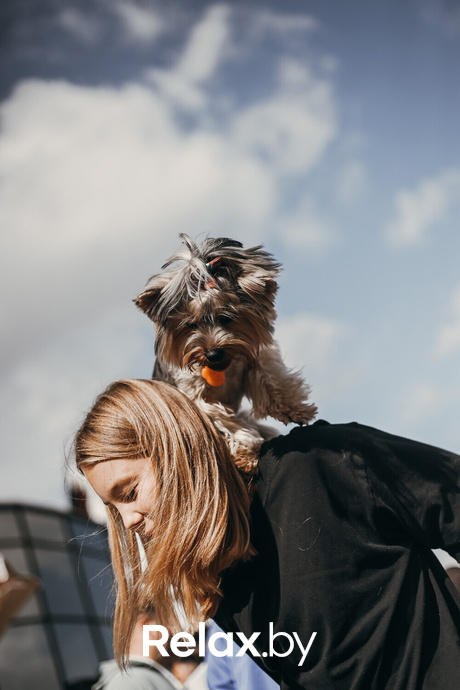 Акция Пушистого Добра, фото № 151