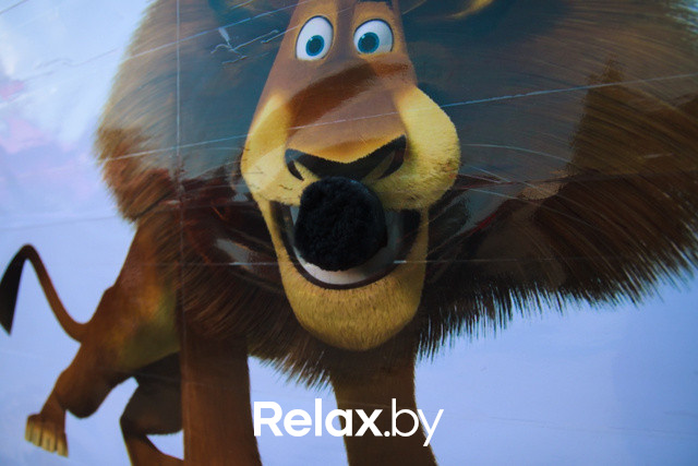 Акция ко Дню защиты животных, фото № 102