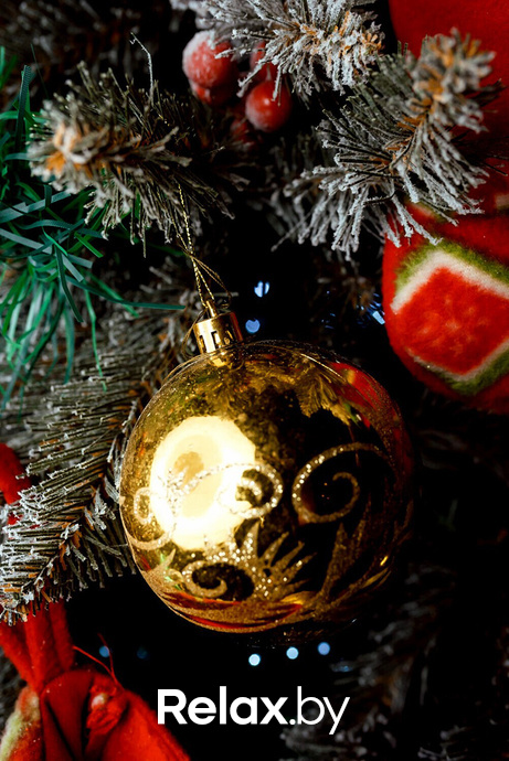 Brooklyn Live!, фото № 4