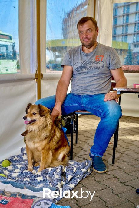 Акция пушистого добра, фото № 62