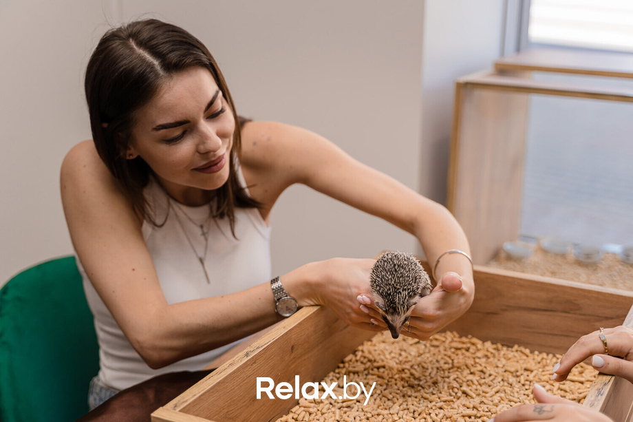 Открытие антикафе «Ёж кафе», фото № 63